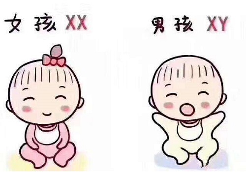 第四代试管婴儿什么时候出来？你想知道吗？