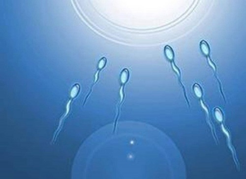四大因素保障美国试管婴儿高成功率