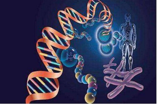 试管婴儿检查什么时候做比较好？月经期还是月经后？