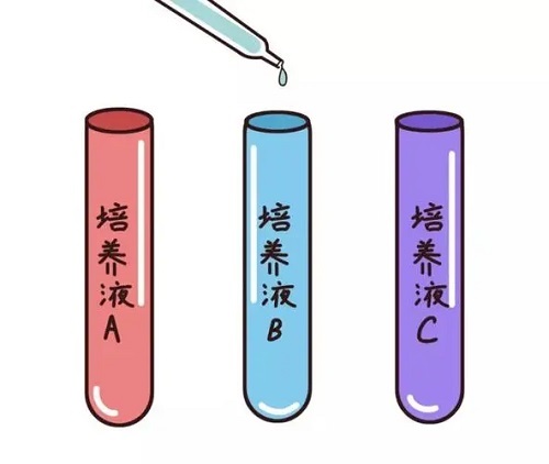 结扎了还能做试管婴儿的成功率怎么样