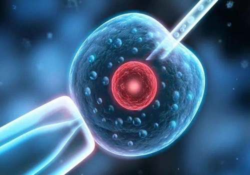 2022年泰国试管婴儿流程介绍