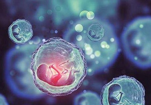 精子活力低赴泰试管婴儿的助孕治疗方案是怎样的？