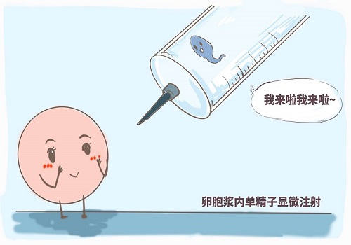 试管婴儿一次能移植几个胚胎？会有哪些风险？