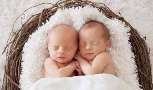 试管婴儿生双胞胎多少钱_2
