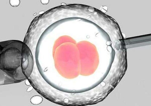 【科普】美国试管婴儿：胚胎移植后 影响着床的五大原因