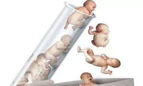 试管三代基本不会胎停吗？答案已揭晓