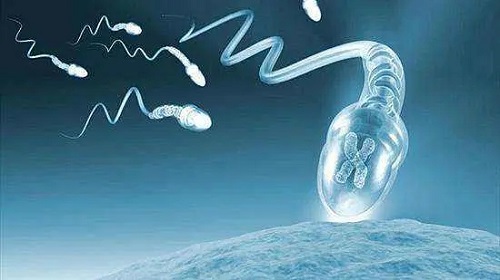试管婴儿“第几代”该如何选择？到底有哪些区别？