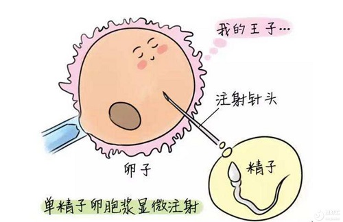 西安第三代试管婴儿医院怎么选