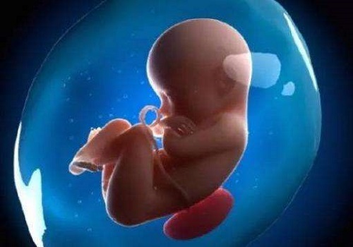 精子少于百分之十可以做试管吗？
