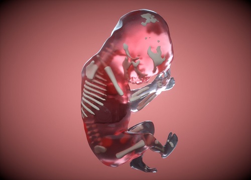 美国试管婴儿专家解读：胚胎不着床该怎么办？
