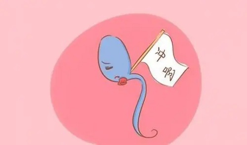 试管婴儿90%不是自己的？这谣言未免太荒谬