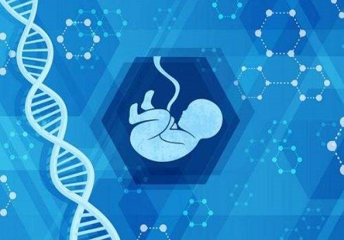海南试管婴儿成功率是多少？试管婴儿级别越高越好吗？