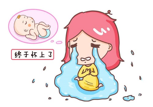 俄罗斯试管婴儿可以去选吗